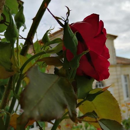 Hotel Domaine du chauvet à Sainte-Eulalie  Extérieur photo